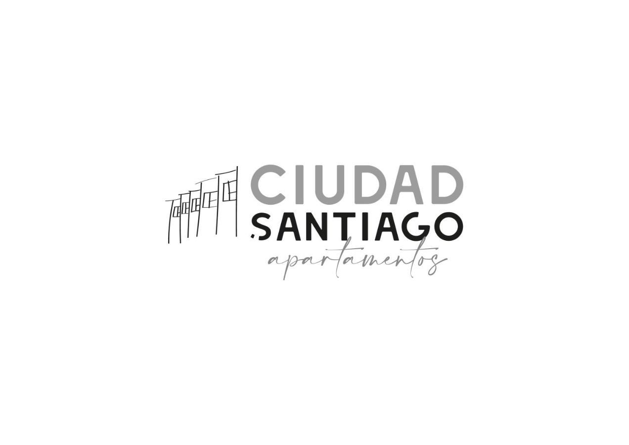 Apartamentos Ciudad Santiago Santiago de Compostela Dış mekan fotoğraf